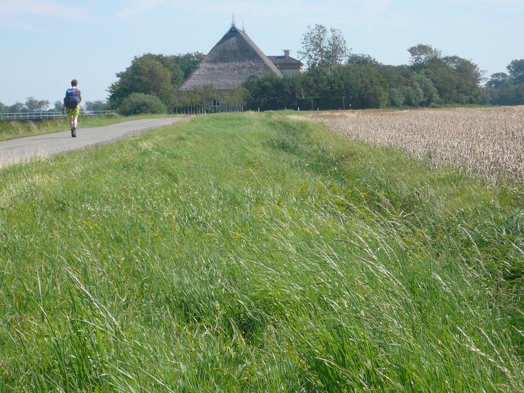 Herberg De Gekroonde Leeuw Arum Extérieur photo